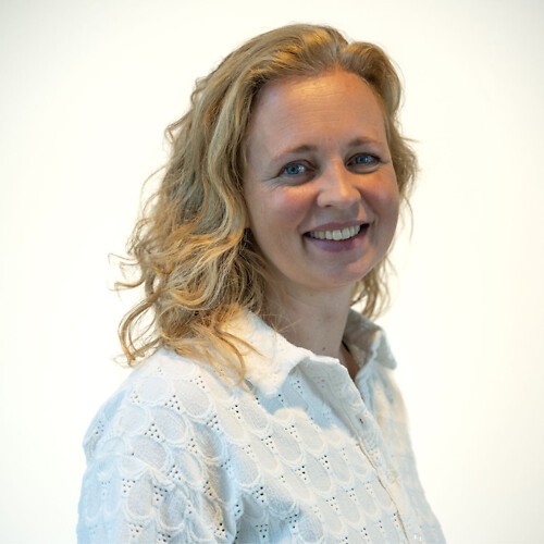 Ieteke de Vries