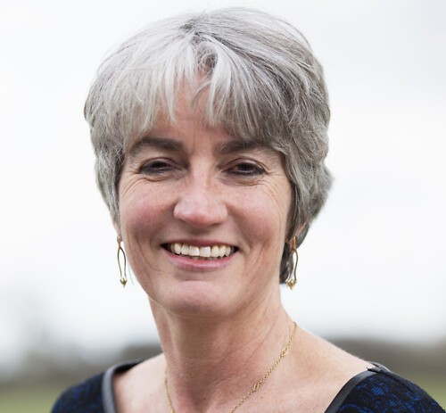 Inge Heetvelt