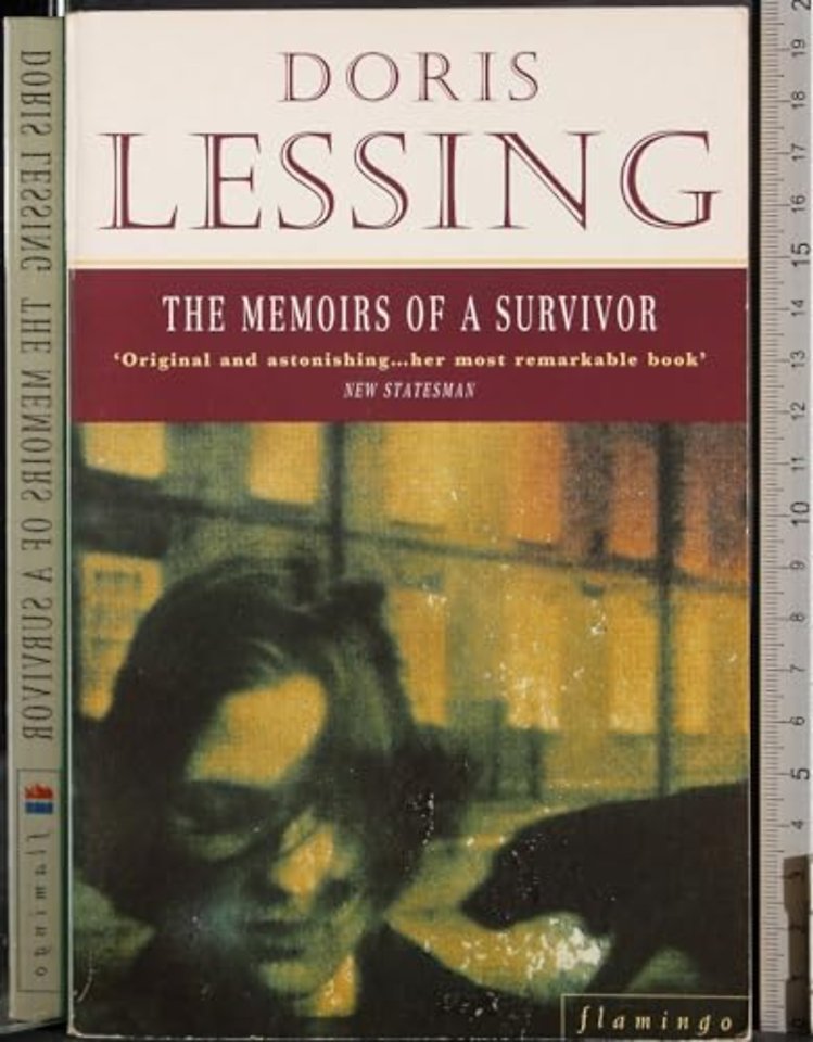 The Memoirs of a Survivor