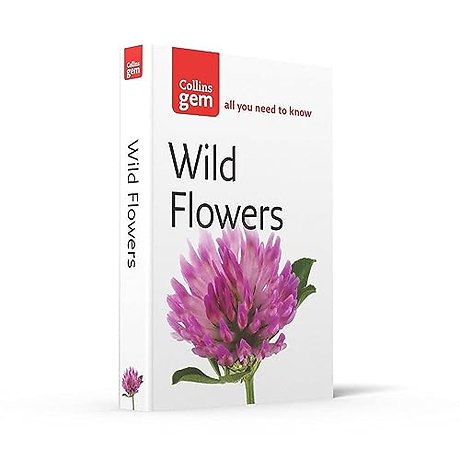 Wild Flowers