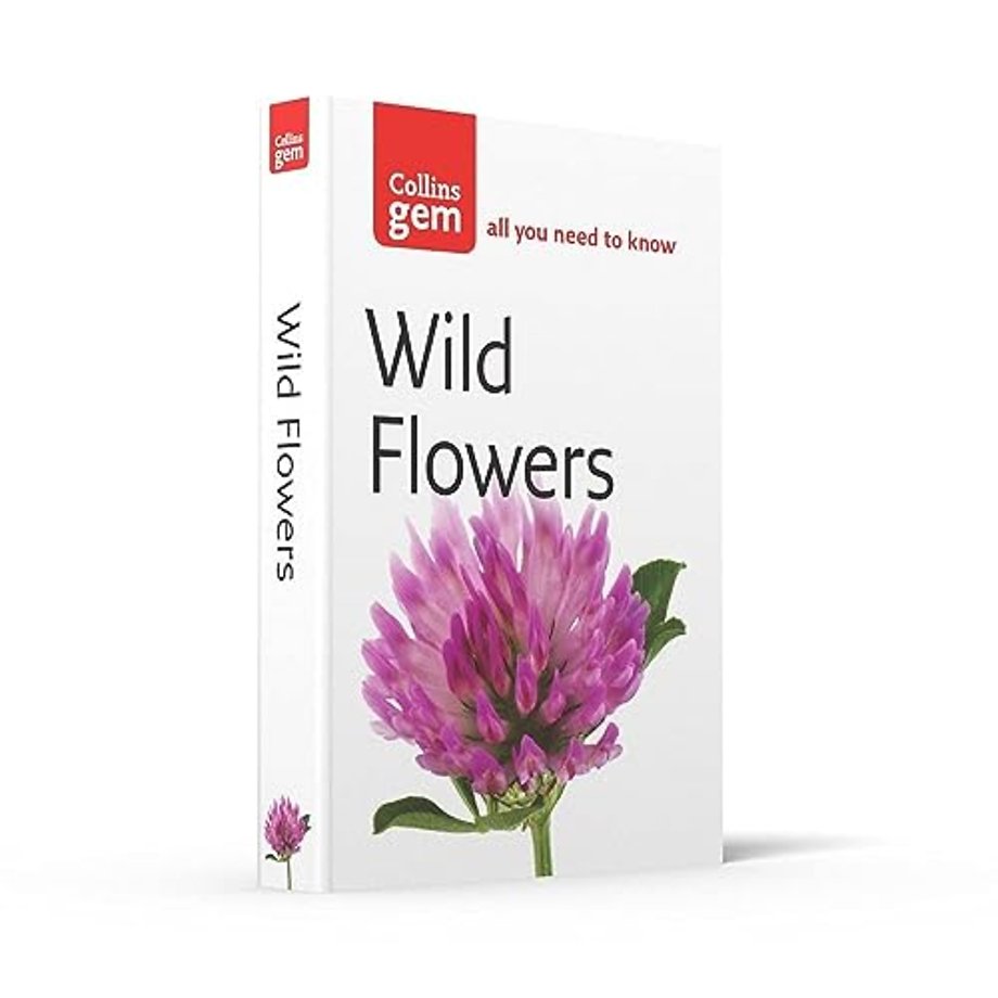 Wild Flowers