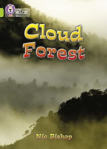 Cloud Forest