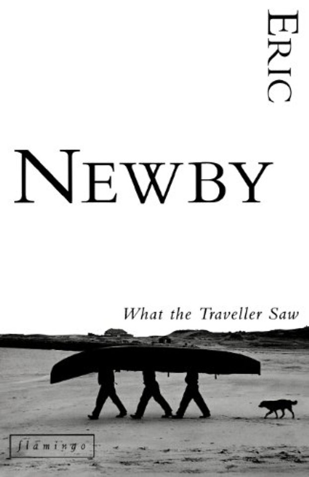What the Traveller Saw