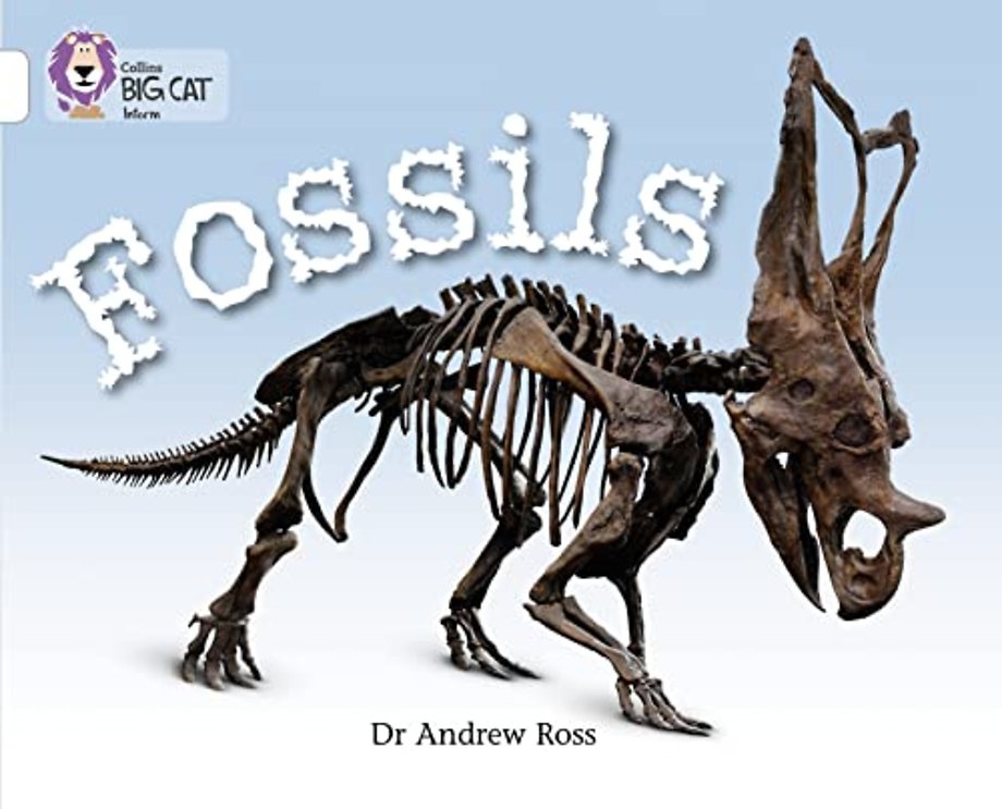Fossils