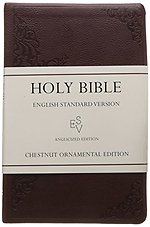 Holy Bible: English Standard Version (ESV) Anglicised Chestnut Ornamental Thinline edition