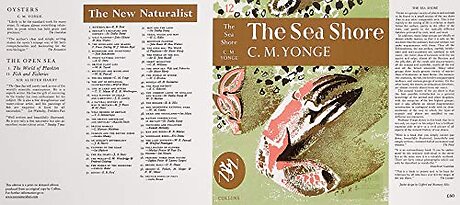 The Sea Shore