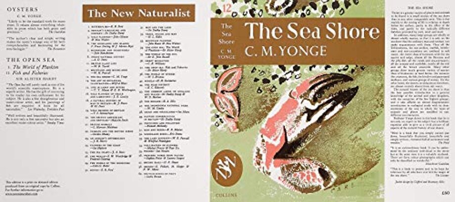 The Sea Shore
