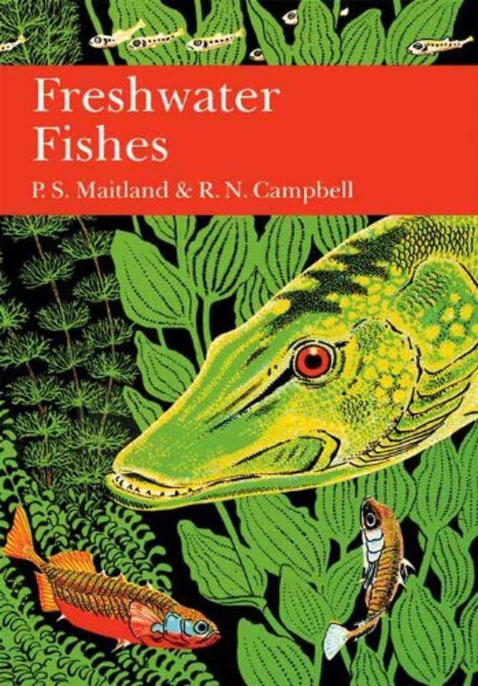 British Freshwater Fish