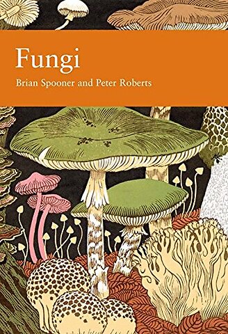 Fungi