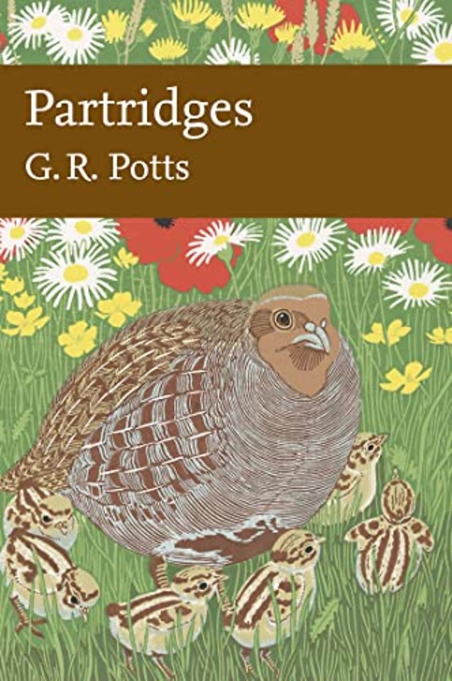 Partridges