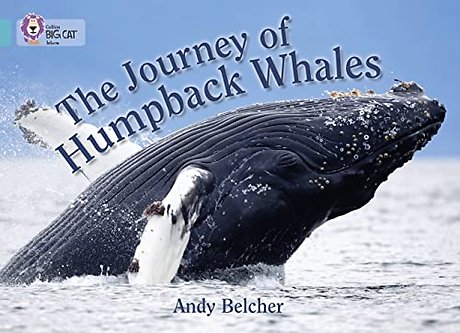 The Journey of Humpback Whales