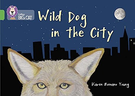 Wild Dog In The City