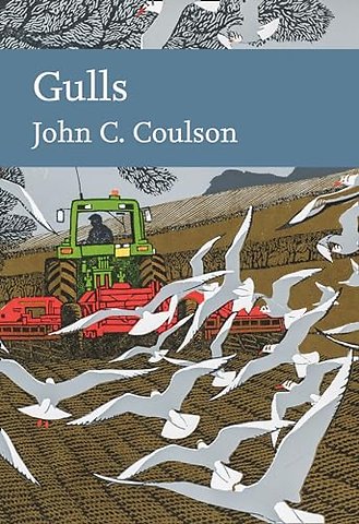 Gulls