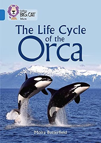 The Life Cycle of the Orca