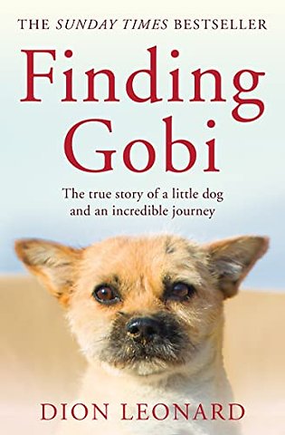 Finding Gobi (Main edition)