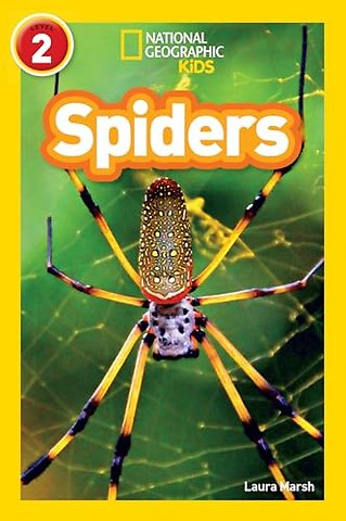 Spiders