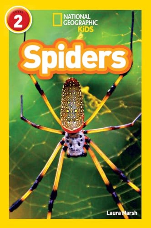 Spiders