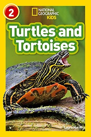 Turtles and Tortoises