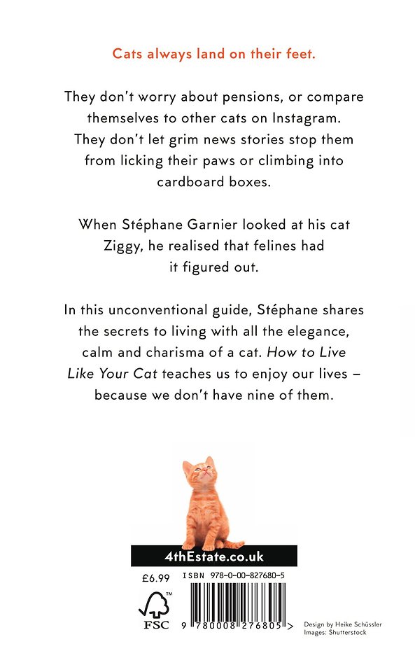 How to Live Like Your Cat