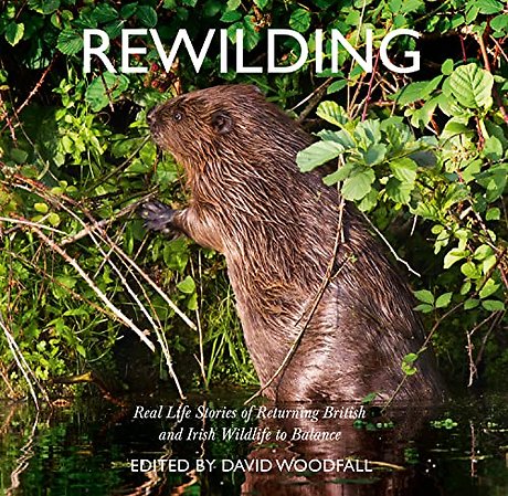 Rewilding