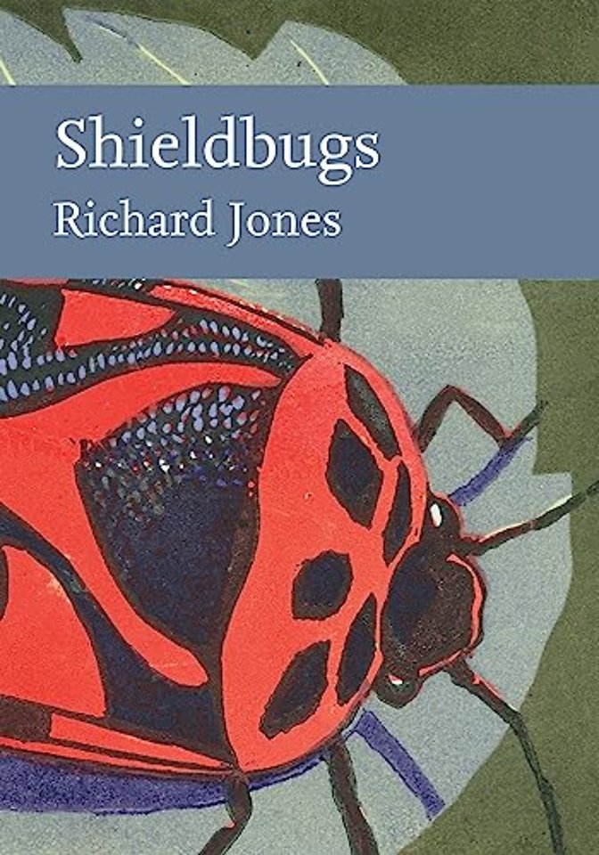 Shieldbugs
