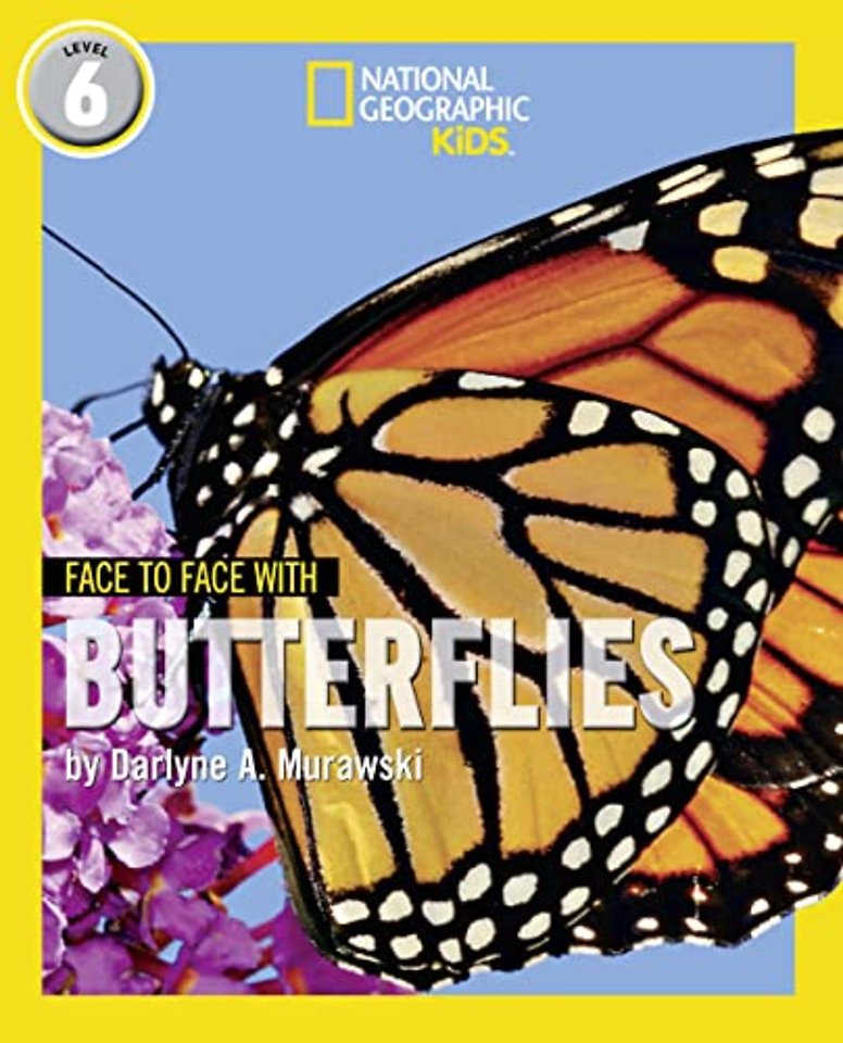 Face to Face with Butterflies