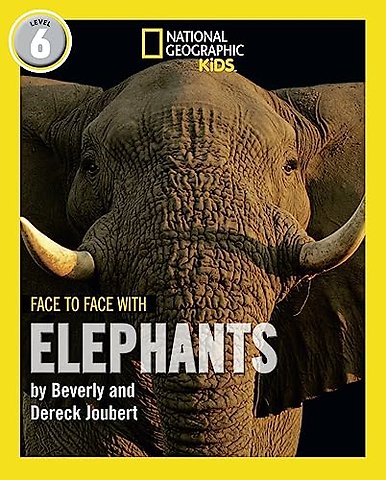 Face to Face with Elephants