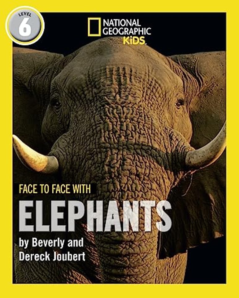 Face to Face with Elephants