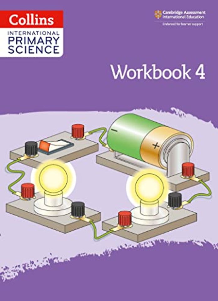 International Primary Science Workbook: Stage 4