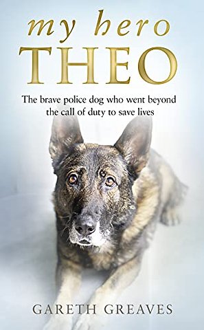 My Hero Theo