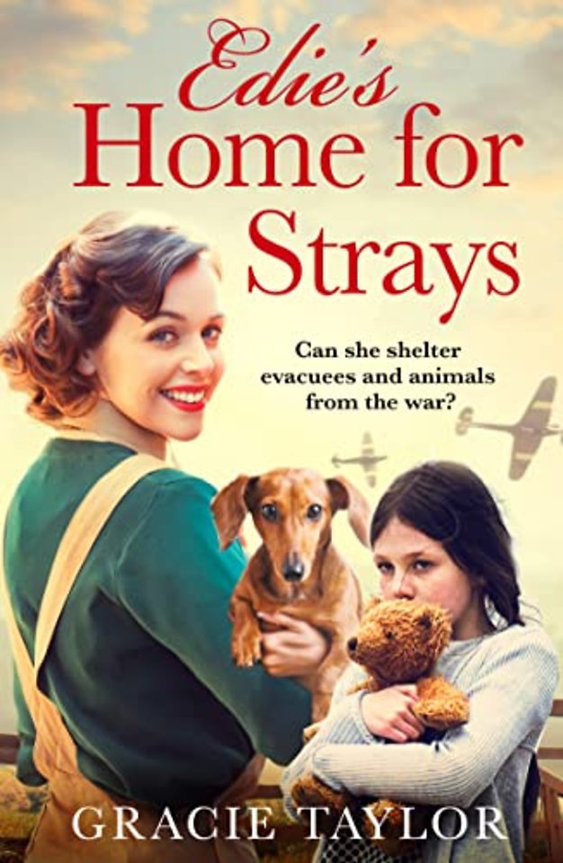 Edie’s Home for Strays
