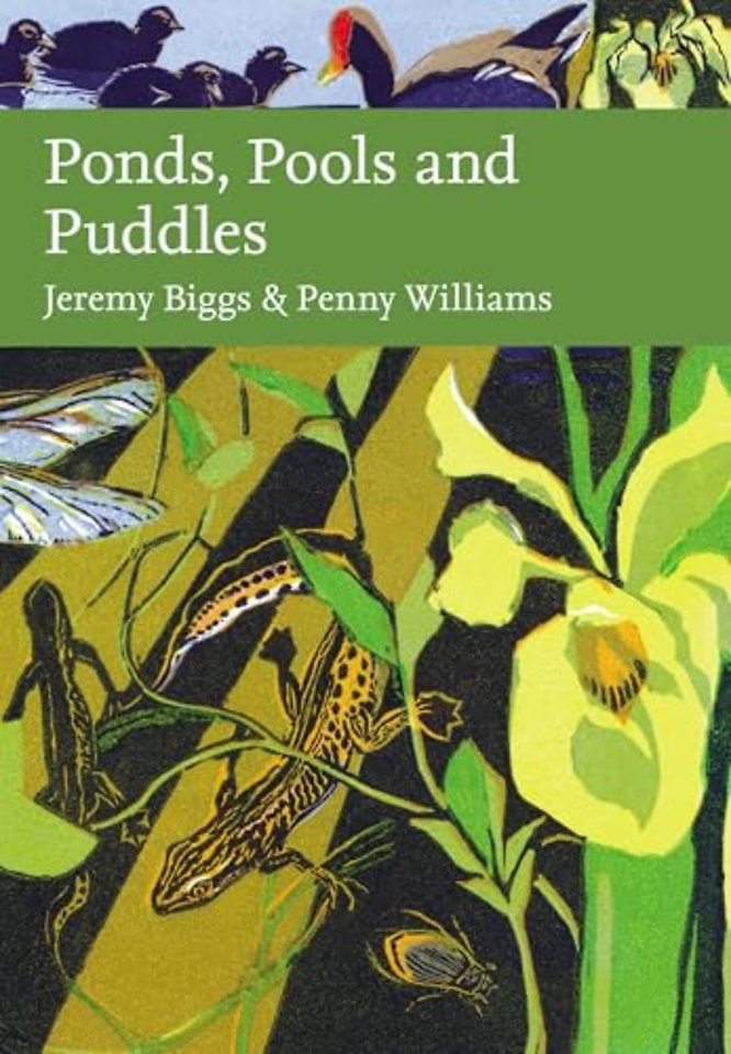 Ponds, Pools and Puddles