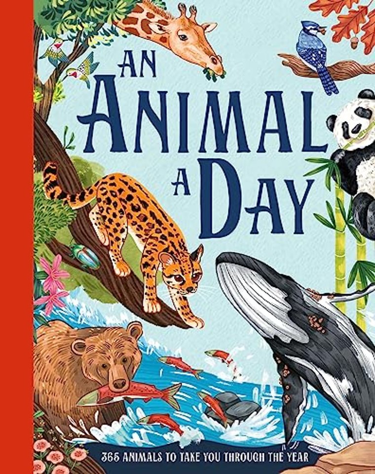 An Animal a Day