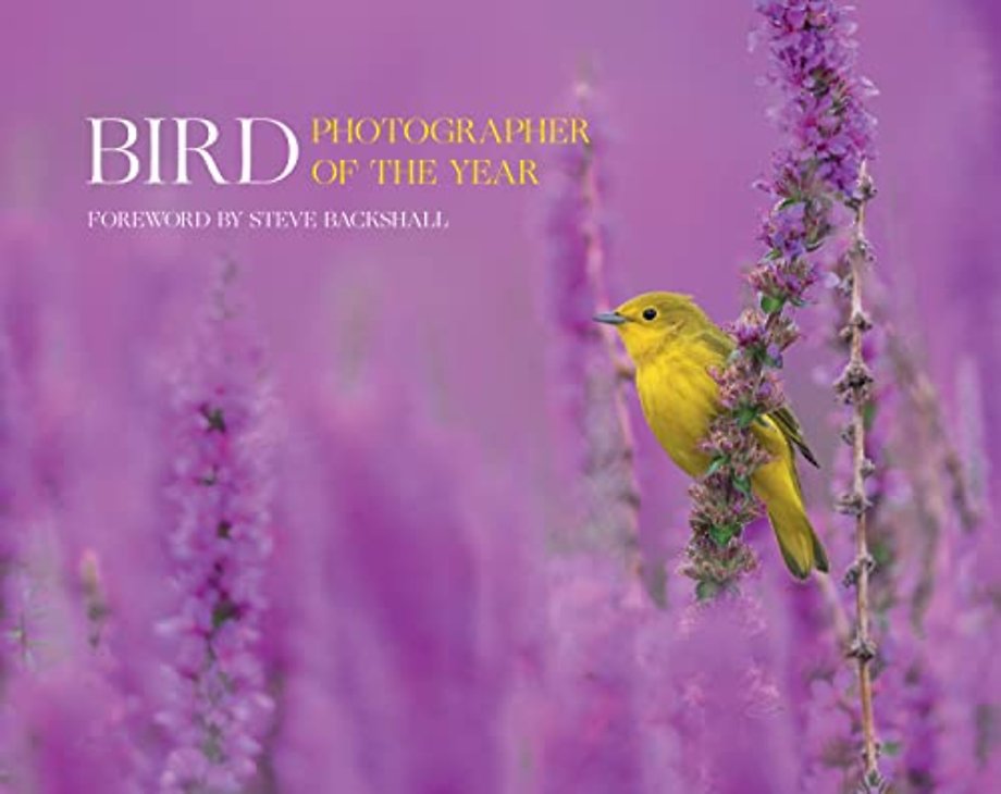 Bird Photographer of the Year