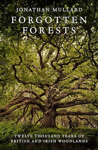 Forgotten Forests