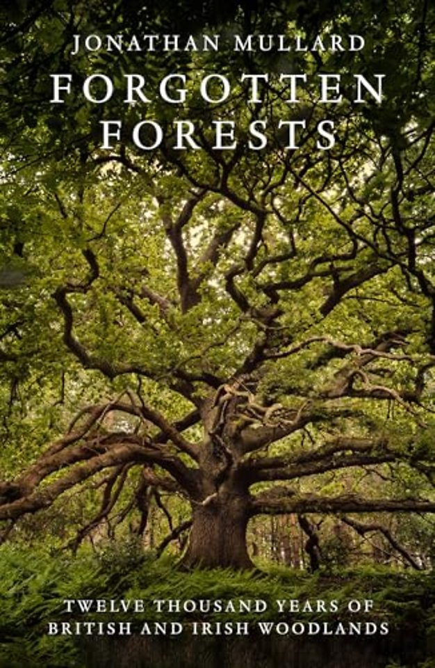 Forgotten Forests