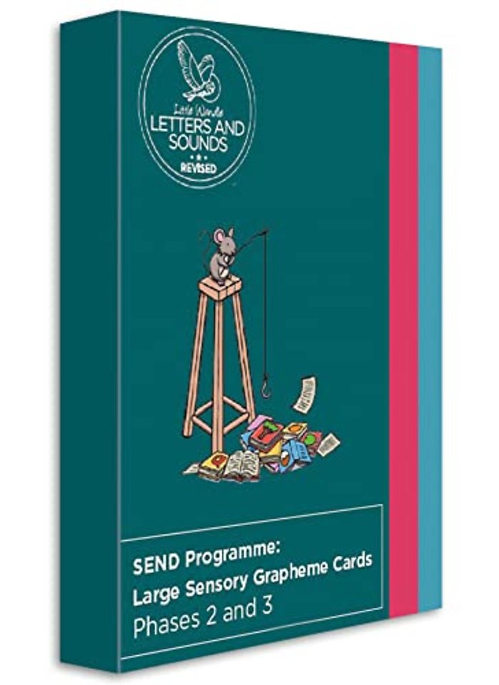 SEND Programme: Large Sensory Grapheme Cards