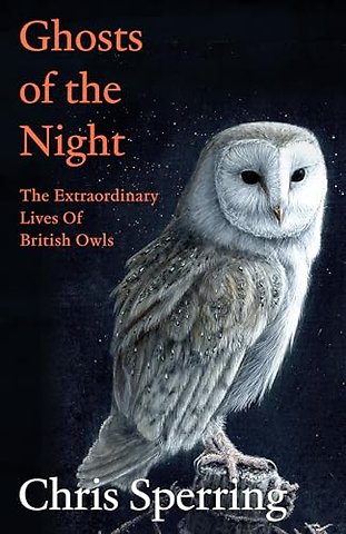 Ghosts of the Night