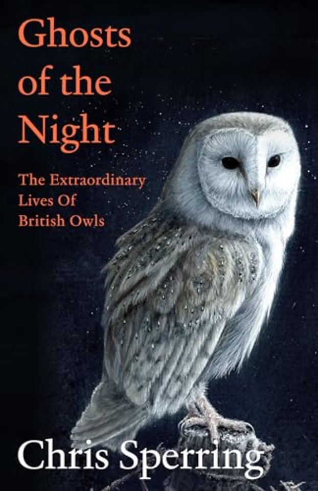 Ghosts of the Night