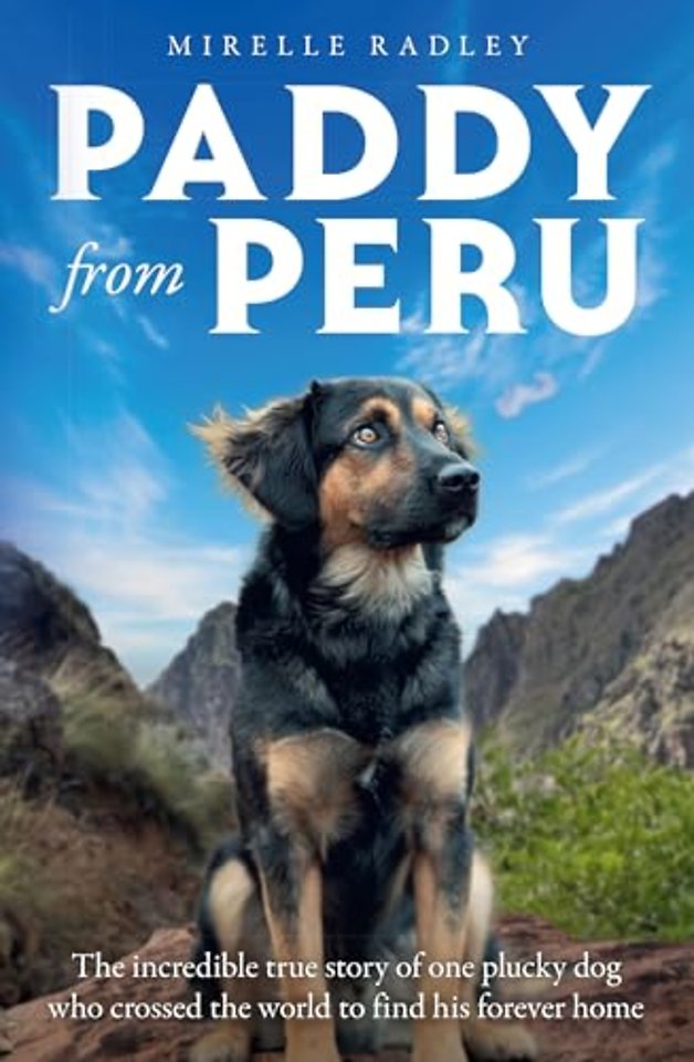 Paddy from Peru