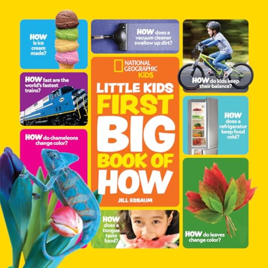 Little Kids First Big Book of How