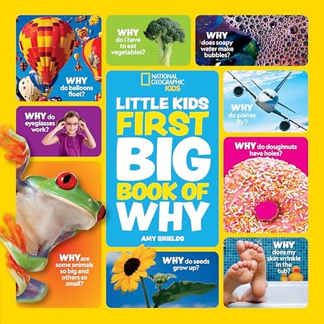 Little Kids First Big Book of Why
