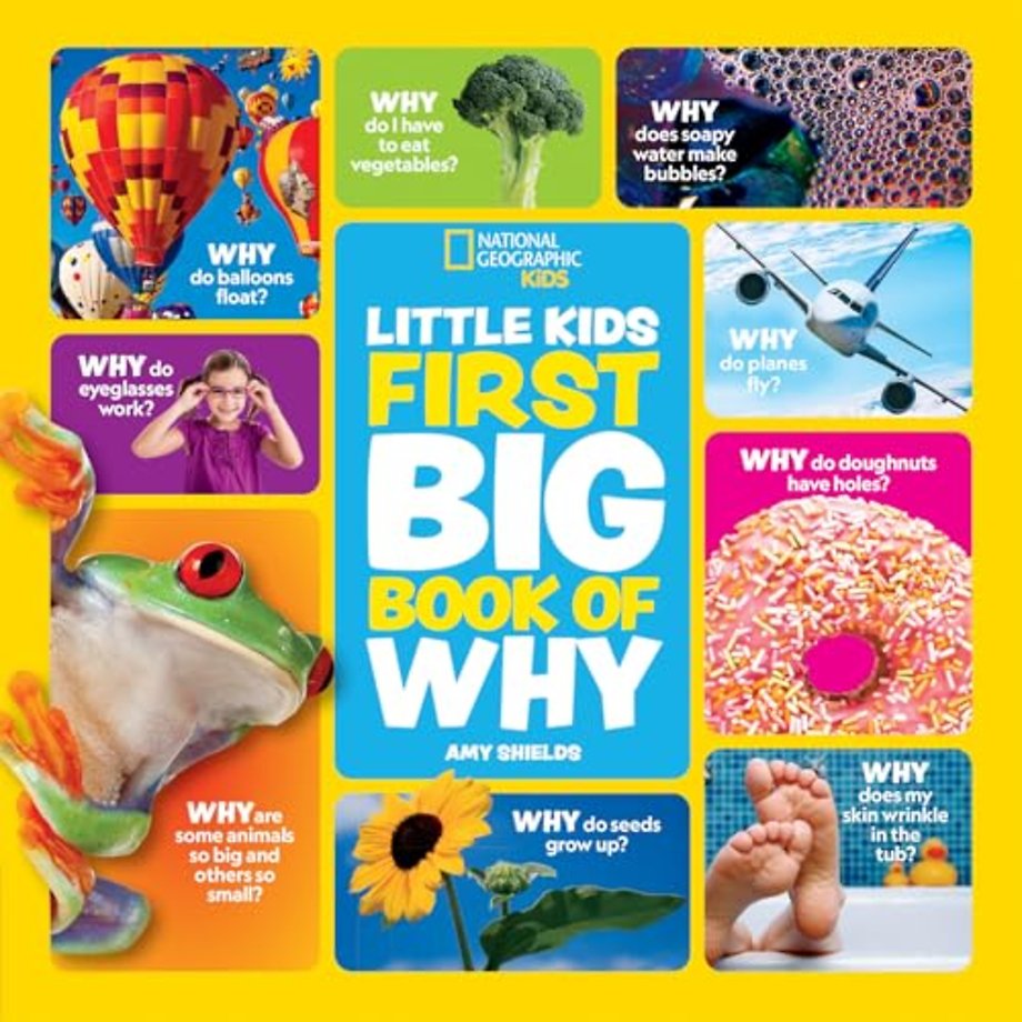 Little Kids First Big Book of Why