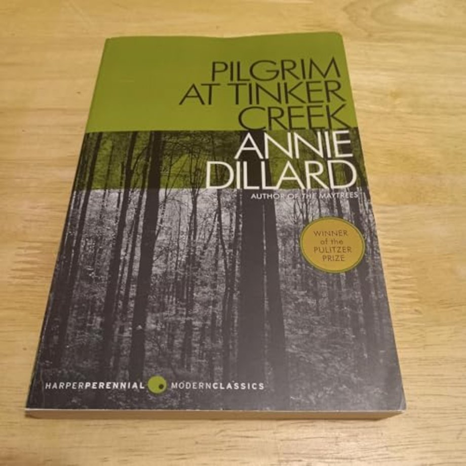 Pilgrim at Tinker Creek