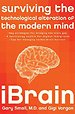 iBrain iBrain