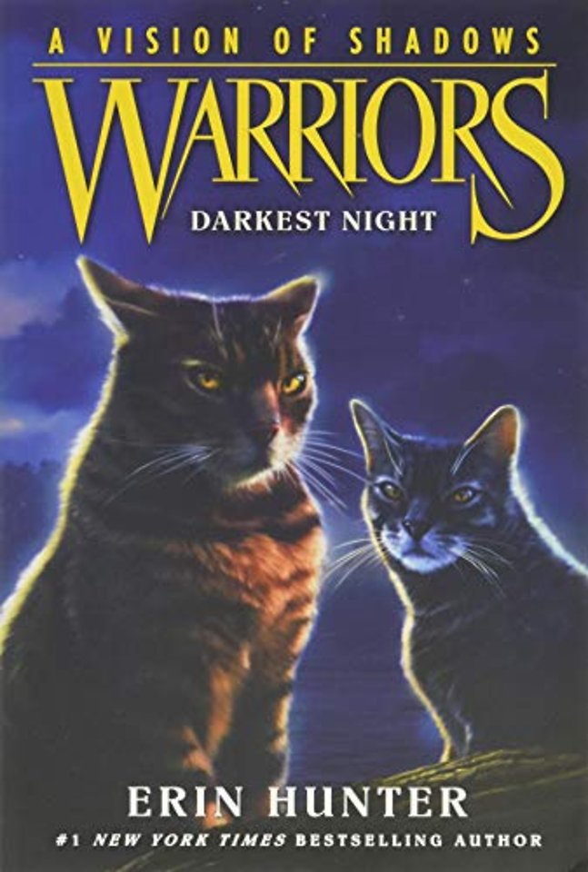 Warriors: A Vision of Shadows #4: Darkest Night