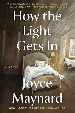 How the Light Gets In