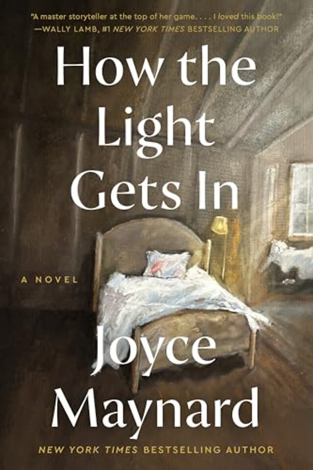 How the Light Gets In
