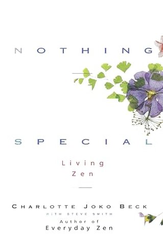 Nothing Special