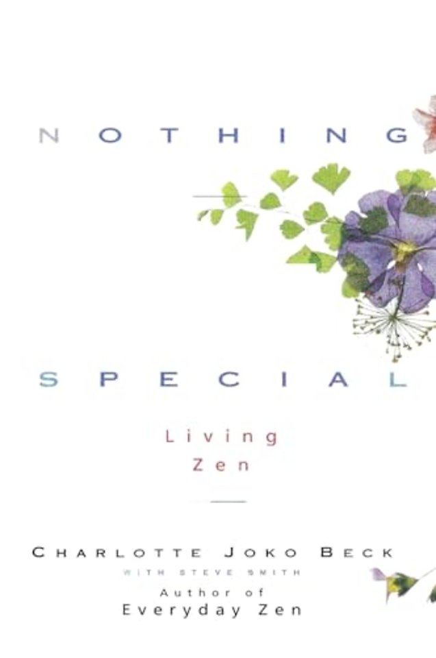 Nothing Special